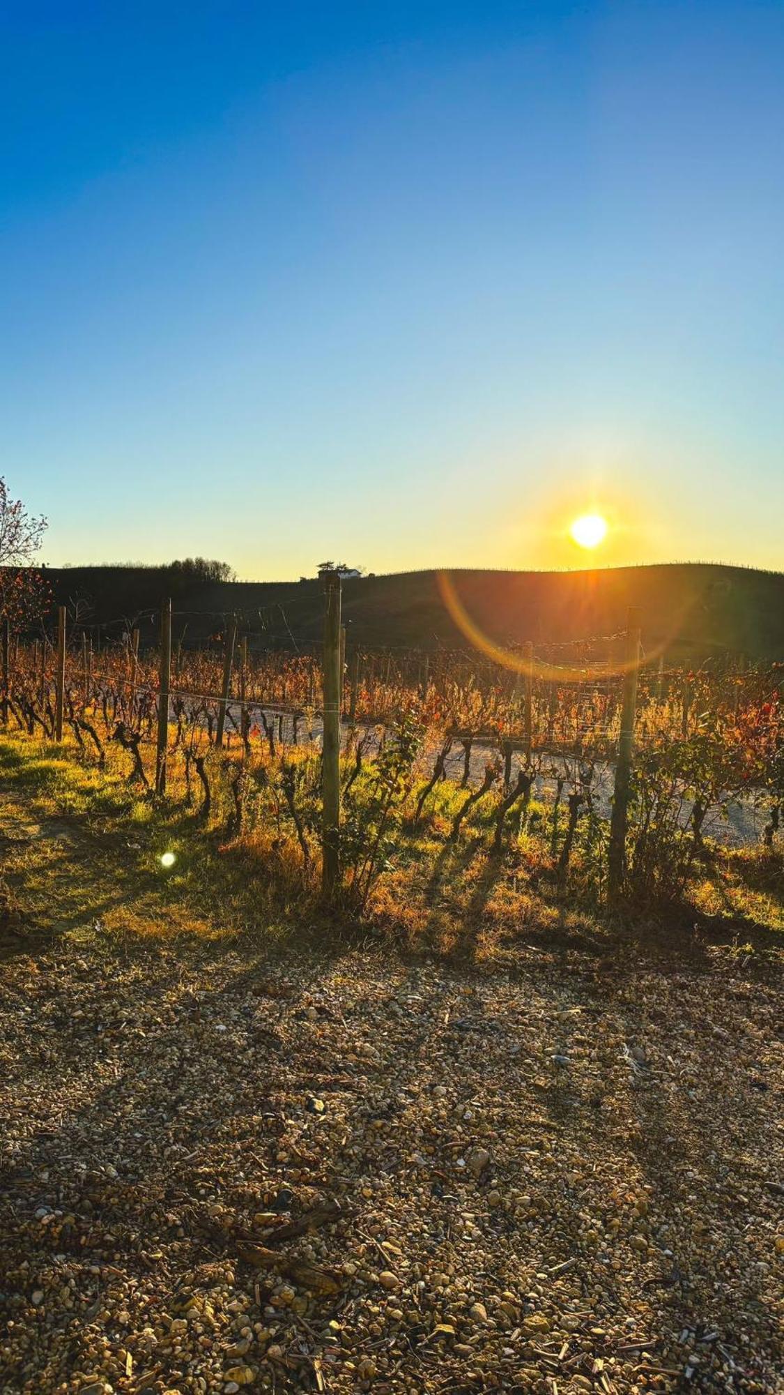 Tenuta Agricola La Cava- Cantina E * San Damiano dʼAsti