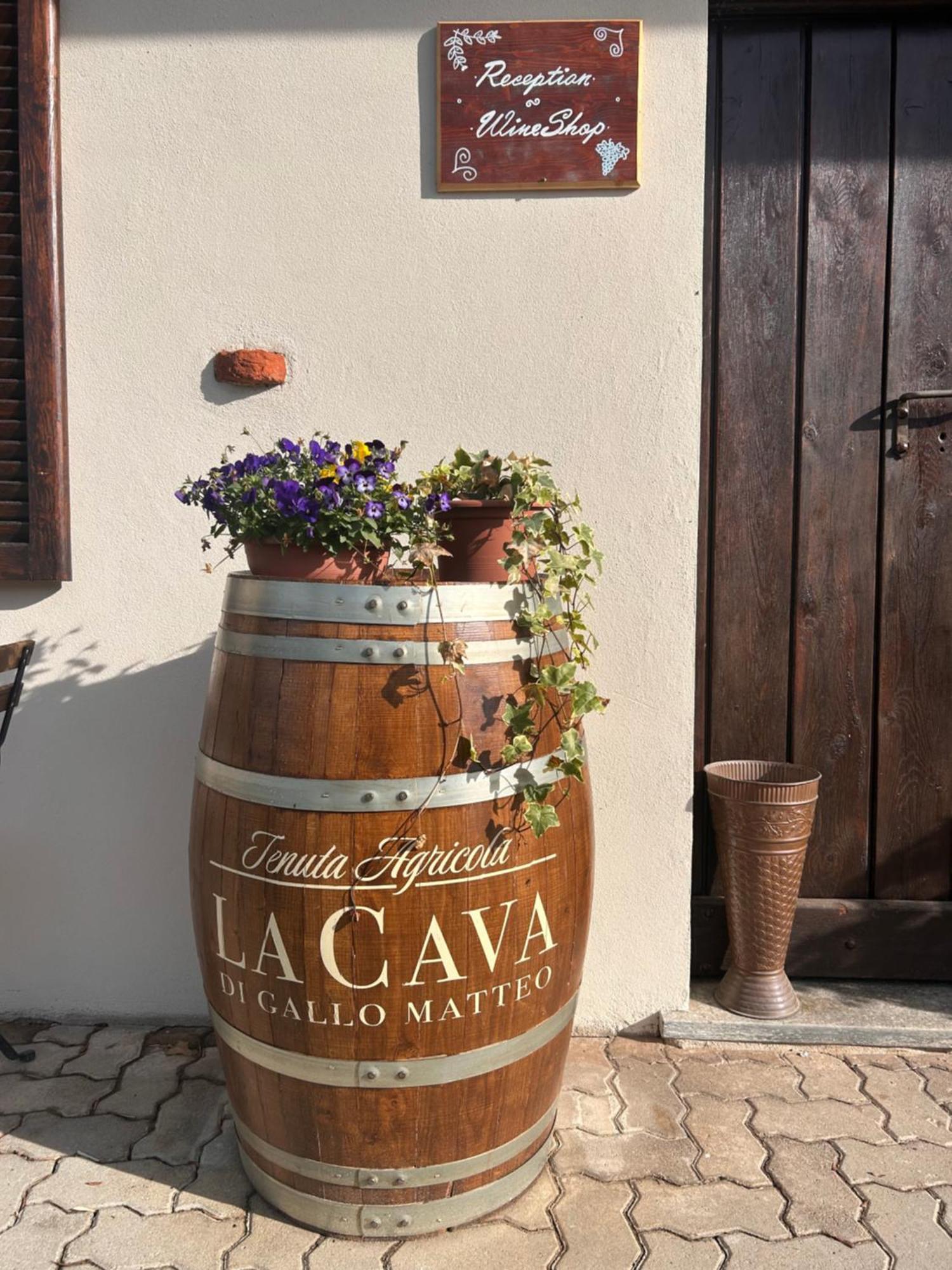 Tenuta Agricola La Cava- Cantina E