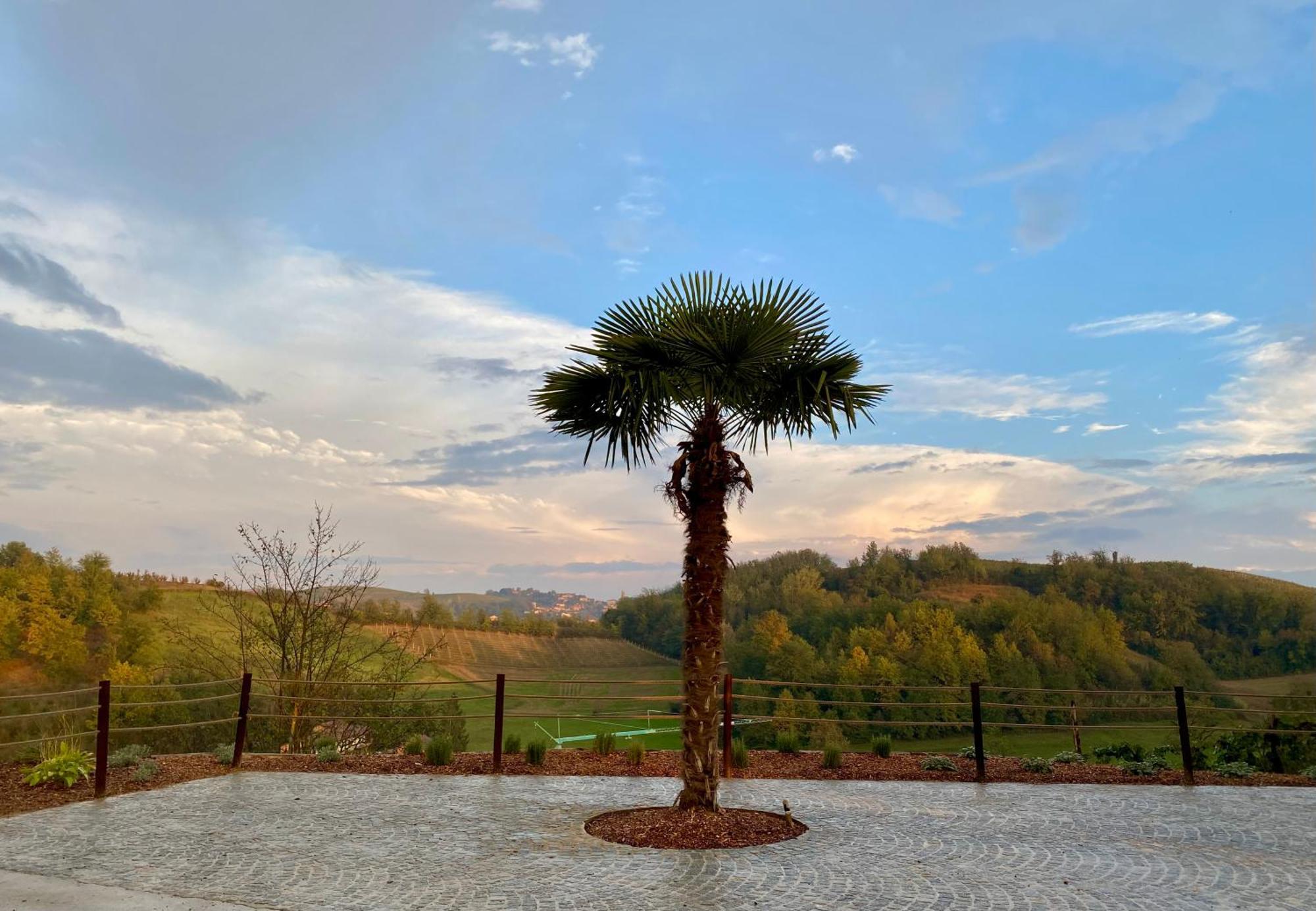 Tenuta Agricola La Cava- Cantina E San Damiano dʼAsti
